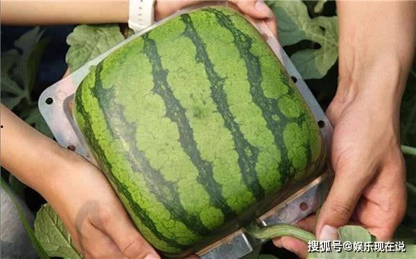 五一吃瓜,揭秘热门事件背后的真相